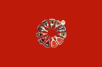 延安市洛川县回收红酒